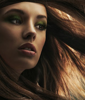 在线短信电话轰炸机